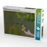 CALVENDO Puzzle CALVENDO Puzzle Eisvogel (Alcedo atthis) Пазл CALVENDO Puzzle Kingfisher (Alcedo atthis)
