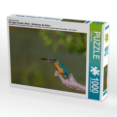 CALVENDO Puzzle CALVENDO Puzzle Eisvogel (Alcedo atthis) Пазл CALVENDO Puzzle Kingfisher (Alcedo atthis)