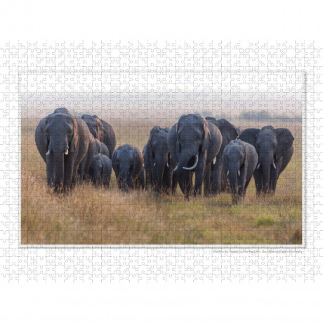 CALVENDO Puzzle CALVENDO Puzzle Emotionale Momente: Aus dem Leben der Elefanten. \/ CH-Version Пазл CALVENDO Пазл Эмоциональные моменты: из жизни слонов. \/ версия CH