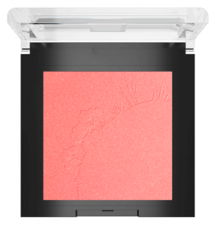 Sante Rouge Mineral Blush 01 Mellow Peach, Санте Натуральные минеральные румяна 01 Сочный персик