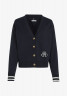 Tommy Hilfiger REG VARSITY IMD NY Zip-up sweatshirt desert sky REG VARSITY IMD NY Толстовка на молнии небо пустыни