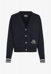 Tommy Hilfiger REG VARSITY IMD NY Zip-up sweatshirt desert sky REG VARSITY IMD NY Толстовка на молнии небо пустыни
