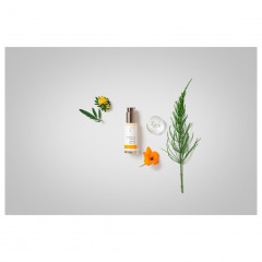 Dr. Hauschka Ausgleichendes Tagesfluid  Балансировка дневной жидкости