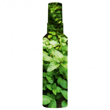 Yves Rocher Pure Menthe Blutenwasser klarende Pfefferminze  Pure Menthe Blutenwasser очищающая мята