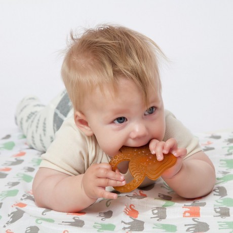 Grunspecht Bio-Beissring aus Naturkautschuk Органическое кольцо для прорезывания зубов из натурального каучука