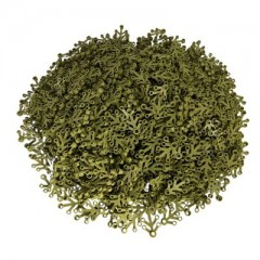 LEGO LEGO 4x3 Blatter Olivgrun - 500 Stuck - oliv green leaf 2423 LEGO 4x3 листья оливково-зеленые - 500 штук - оливково-зеленые листья 2423