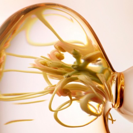 Lancaster Refreshing Express Cleanser  Освежающее экспресс-моющее средство