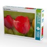 CALVENDO Puzzle CALVENDO Puzzle Bunte Tulpenbluten Пазл CALVENDO Puzzle Разноцветные тюльпаны