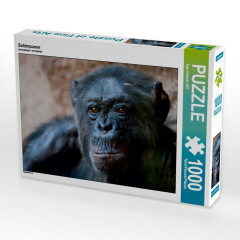 CALVENDO Puzzle CALVENDO Puzzle Schimpanse Пазл CALVENDO Пазл Шимпанзе
