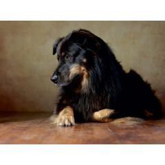 CALVENDO Puzzle CALVENDO Puzzle Hobbit Пазл CALVENDO Пазл Хоббит