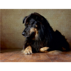 CALVENDO Puzzle CALVENDO Puzzle Hobbit Пазл CALVENDO Пазл Хоббит