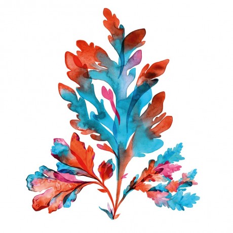 Yves Rocher Pure Algue Ultra-frisches Glow Peeling Pure Algue Ultra Fresh Скраб для сияния кожи