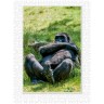 CALVENDO Puzzle CALVENDO Puzzle Emotionale Momente: Aus dem Leben der Familie Gorilla. \/ CH-Version Пазл CALVENDO Пазл Эмоциональные моменты: Из жизни семьи горилл. \/ версия CH