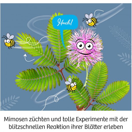 Kosmos Mitbringexperiment Mimosen-Garten Возьмите с собой эксперимент в саду мимозы