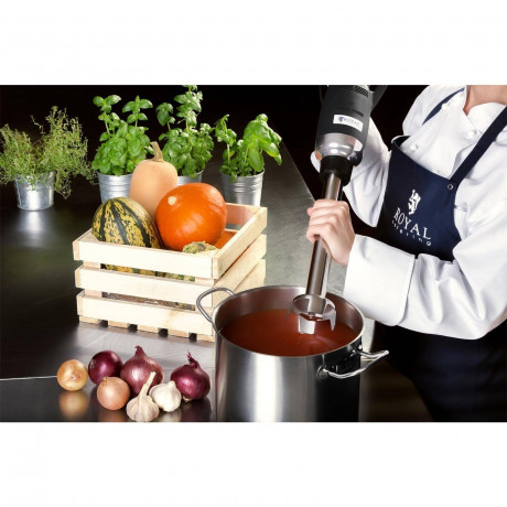 Royal Catering Royal Catering Stabmixer Stabmixer Purierstab Gastro 500W Edelstahl Handmixer Zerkleinerer, 500 W Ручной блендер Royal Catering Ручной блендер Purierstab Gastro 500 Вт Ручной миксер из нержавеющей стали-измельчитель, 500 Вт