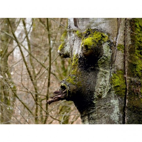 CALVENDO Puzzle CALVENDO Puzzle Zungelnder Rindenglotzer Пазл CALVENDO головоломка насмешливый зевака