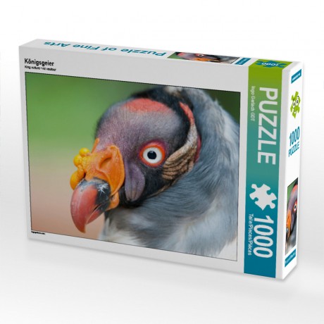 CALVENDO Puzzle CALVENDO Puzzle Konigsgeier Пазл CALVENDO Пазл королевский гриф