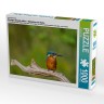 CALVENDO Puzzle CALVENDO Puzzle Eisvogel (Alcedo atthis) Пазл CALVENDO Puzzle Kingfisher (Alcedo atthis)