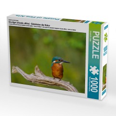 CALVENDO Puzzle CALVENDO Puzzle Eisvogel (Alcedo atthis) Пазл CALVENDO Puzzle Kingfisher (Alcedo atthis)
