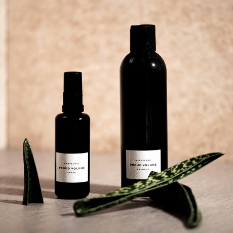 BMRVLS Proud Volume Shampoo  Шампунь Proud Volume