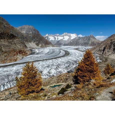 CALVENDO Puzzle CALVENDO Puzzle Herbst am Aletschgletscher in der Schweiz Пазл CALVENDO Puzzle Осень на леднике Алеч в Швейцарии