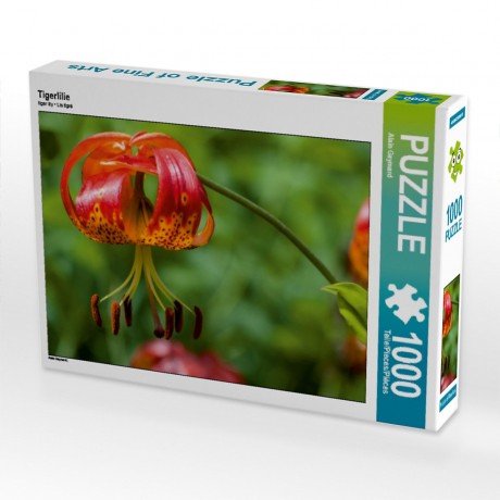 CALVENDO Puzzle CALVENDO Puzzle Tigerlilie Пазл CALVENDO Пазл Тигровая лилия