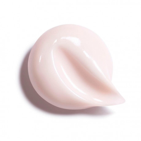 CHANEL CREME RICHE НАСЫЩЕННЫЙ КРЕМ