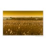 CALVENDO Puzzle CALVENDO Puzzle Neusiedler See \/ CH-Version Пазл CALVENDO Puzzle Neusiedler См. версию CH