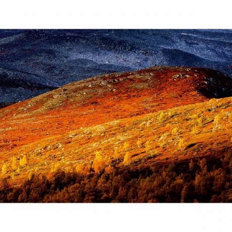 CALVENDO Puzzle CALVENDO Puzzle Indian Summer in Gasbu Пазл CALVENDO Puzzle Бабье лето в Гасбу