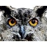 CALVENDO Puzzle CALVENDO Puzzle Krafttier Eule Пазл CALVENDO Puzzle power animal owl