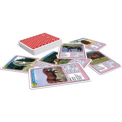 ASS Altenburger TOP ASS Quartett Квартет TOP ASS