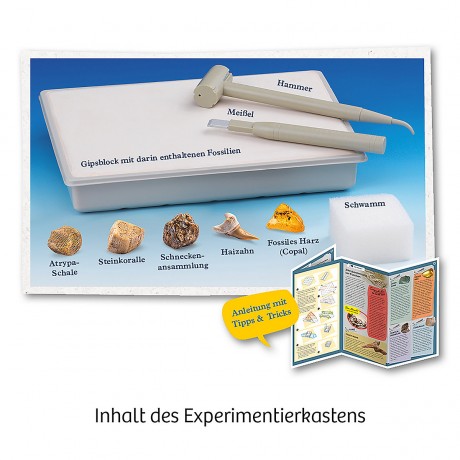 Kosmos Ausgrabungs-Set Fossilien Набор для раскопок Окаменелости