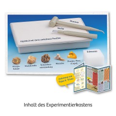 Kosmos Ausgrabungs-Set Fossilien Набор для раскопок Окаменелости