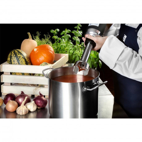 Royal Catering Royal Catering Stabmixer Stabmixer Gastro 350 W Edelstahl Mixer Mixstab Purierstab 16.000 U min, 350 W Ручной блендер Royal Catering ручной блендер гастро 350 Вт миксер из нержавеющей стали стержень для смешивания очистительный стержень 16