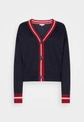 Tommy Hilfiger VIBRANT STRIPE CARDIGAN Cardigan desert sky ЯРКИЙ КАРДИГАН В ПОЛОСКУ Кардиган небо пустыни