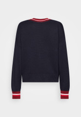 Tommy Hilfiger VIBRANT STRIPE CARDIGAN Cardigan desert sky ЯРКИЙ КАРДИГАН В ПОЛОСКУ Кардиган небо пустыни