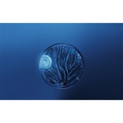 Biotherm Homme Гель для лица Force Supreme Revitalizing & Anti-Aging 50 мл