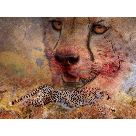 CALVENDO Puzzle CALVENDO Puzzle Emotionale Momente: African Dreams Пазл CALVENDO Puzzle Emotional Moments: African Dreams