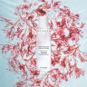 Chantecaille Purifying and Exfoliating Phytoactive Solution Очищающий и отшелушивающий фитоактивный раствор