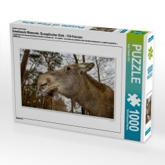 CALVENDO Puzzle CALVENDO Puzzle Emotionale Momente: Europaischer Elch. \/ CH-Version Пазл CALVENDO Пазл Эмоциональные моменты: Европейский лось. \/ версия CH