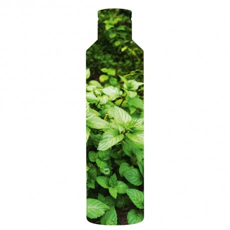 Yves Rocher Pure Menthe Klarendes Mizellenwasser  Pure Menthe Осветляющая мицеллярная вода