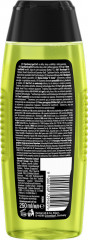 Fa Men Sport Energy Boost 3in1 Duschgel 250 ml, Мужской гель для душа FA Sport Energy Boost 3 в 1 с ароматом гуараны, 250 мл