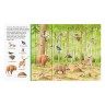 Ravensburger Sachen suchen: Tiere im Wald Ищу вещи: животные в лесу