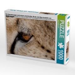 CALVENDO Puzzle CALVENDO Puzzle Die Gepardenaugen sind extrem scharfsichtig. Beute wird uber hunderte von Metern erspaht. Пазл CALVENDO Puzzle Глаза гепарда очень острые. Добычу замечают за сотни метров.
