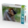 CALVENDO Puzzle CALVENDO Puzzle Brauner Lemur (Eulemur fulvus) Пазл CALVENDO Puzzle Бурый лемур (Eulemur fulvus)