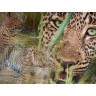 CALVENDO Puzzle CALVENDO Puzzle Emotionale Momente: African Dreams Пазл CALVENDO Puzzle Emotional Moments: African Dreams