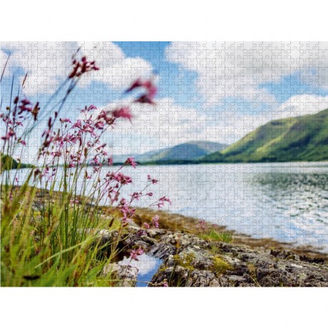 CALVENDO Puzzle CALVENDO Puzzle Wildblumen aus dem Norden Schottlands Пазл CALVENDO Puzzle Полевые цветы с севера Шотландии