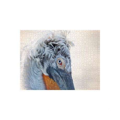 CALVENDO Puzzle CALVENDO Puzzle Charismatische Vogel Пазл CALVENDO Puzzle Харизматичная птичка