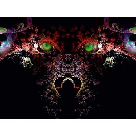 CALVENDO Puzzle CALVENDO Puzzle Der Wolf Пазл CALVENDO Пазл Волк