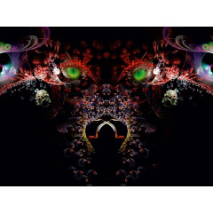 CALVENDO Puzzle CALVENDO Puzzle Der Wolf Пазл CALVENDO Пазл Волк